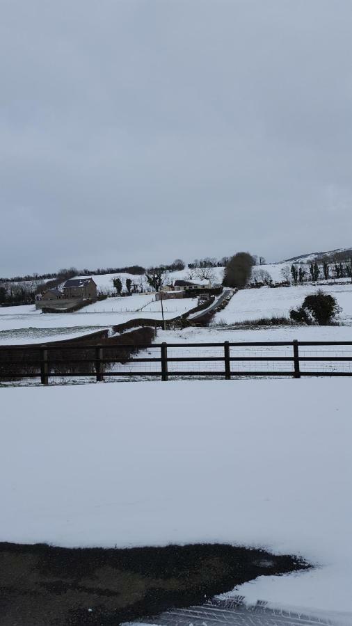 Holly Cottage Mayobridge Newry Extérieur photo