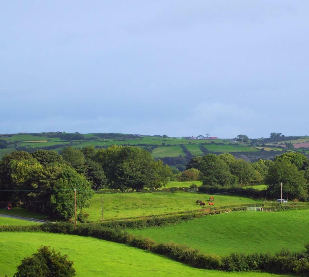 Holly Cottage Mayobridge Newry Extérieur photo